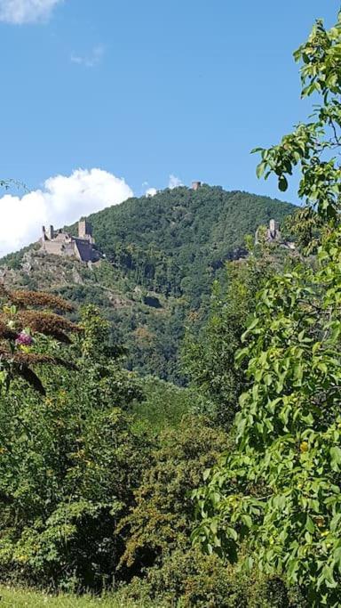 Gite **** L'Atelier Du Tonnelier Ribeauvillé Dış mekan fotoğraf